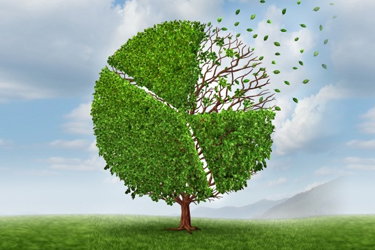 Zelený svet 2019 Image20281