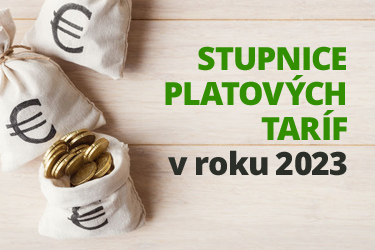 Stupnice platových taríf zamestnancov pri výkone práce vo verejnom záujme v roku 2023 Image66816