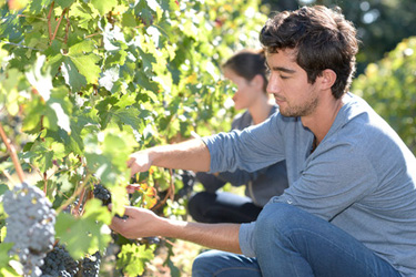 Dohody o prácach vykonávaných mimo pracovného pomeru od 1. 1. 2023 Image28310