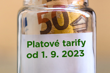 Platové tarify zamestnancov pri výkone práce vo verejnom záujme od 1. 9. 2023 Image73044